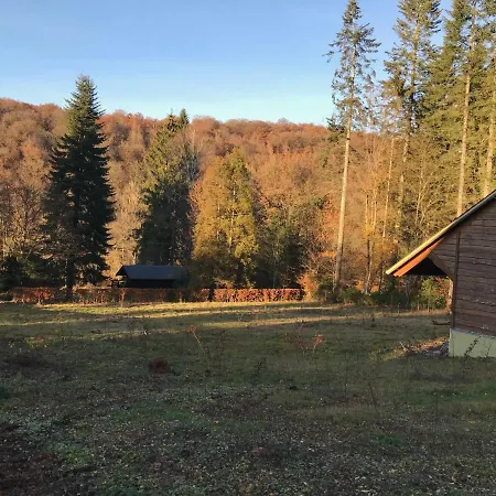 Home@chiny * Шини